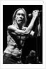 Iggy Pop and The Stooges (1) by Karen Toftera